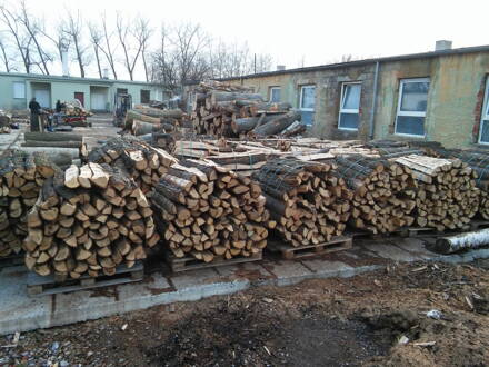 Palivové dřevo tvrdé podélně šípané rovnané  do svazku 1,25 m3