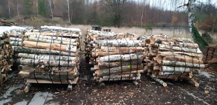 Palivové dřevo Bříza štípaná rovnaný 1.25 m3 na objednávku