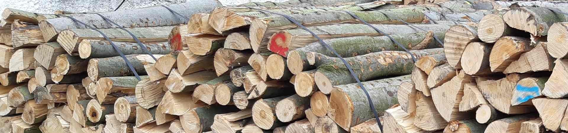 Štípané bukové palivové dřevo 1,25 m3 Kladno a okolí