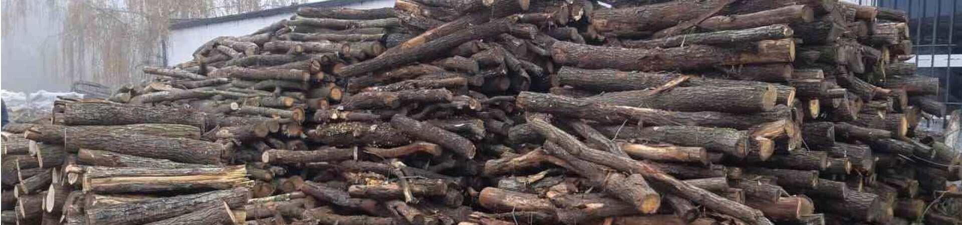 Palivové dřevo kulatina připravená ke zpracování  kladno