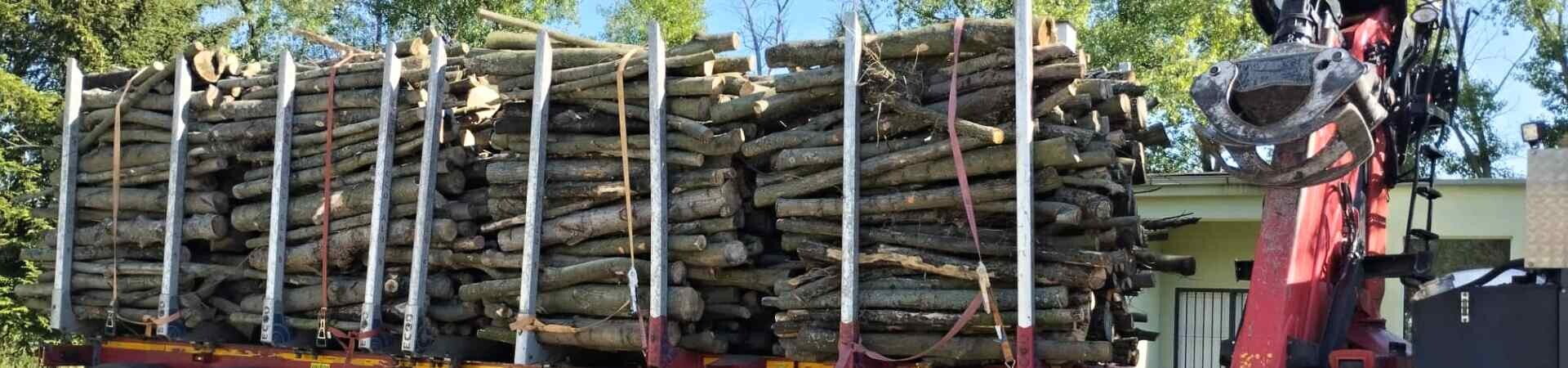 Palivové dřevo tvrdé skladem 