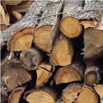 Palivové dřevo tvrdé Dub 6m3  vlhkost 25 - 30 %  skladem posledních   15 m3