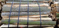 Bukové palivové dřevo ve svazku 1,25m3
