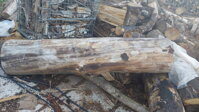 Viz foto buková kláda před zpracováním. www.drevodokrbu.com
