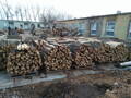 Palivové dřevo tvrdé mix 1.25 m3 skladem
