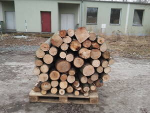 Palivové dřevo Buková kulatina 1,25m3 -  na objednávku