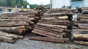Palivové dřevo měkké štípaný Smrk paleta 1,4 m3