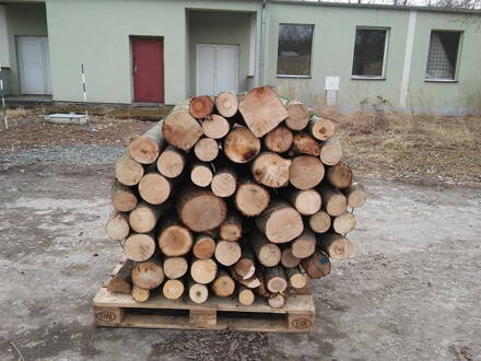 Palivové dřevo tvrdé kulatina rovnaný 1,25m3  na objednávku