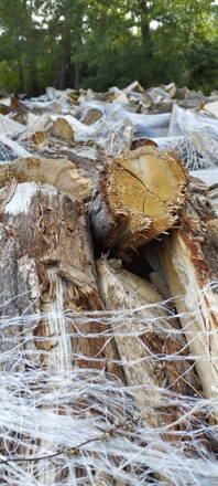 Palivové dřevo suché tvrdé Buk, Jasan  mix  1,5 m3 skladem